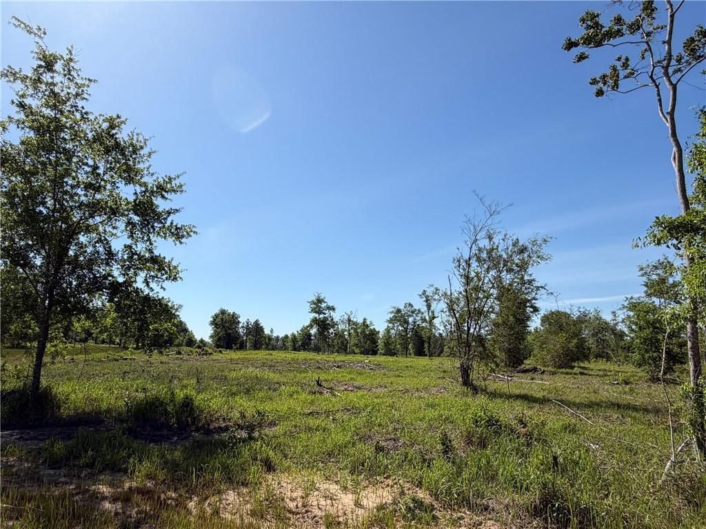 0 Sandy Creek Lane, Mobile, AL 36695 — photo 5