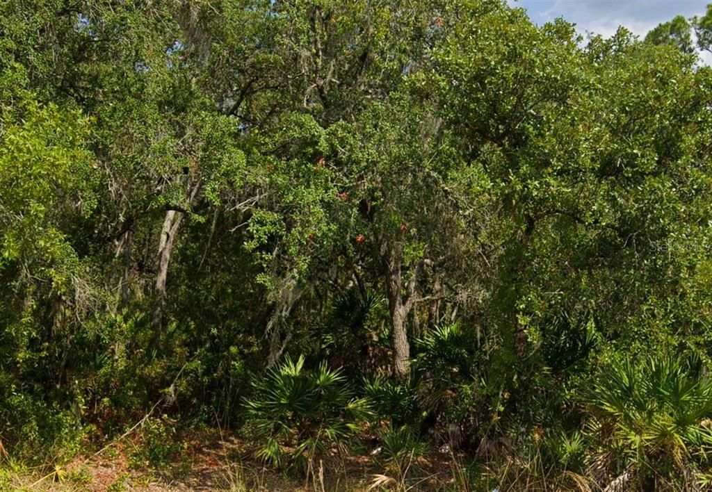 1966 RE BYRD RD ROAD, Frostproof, FL 33843