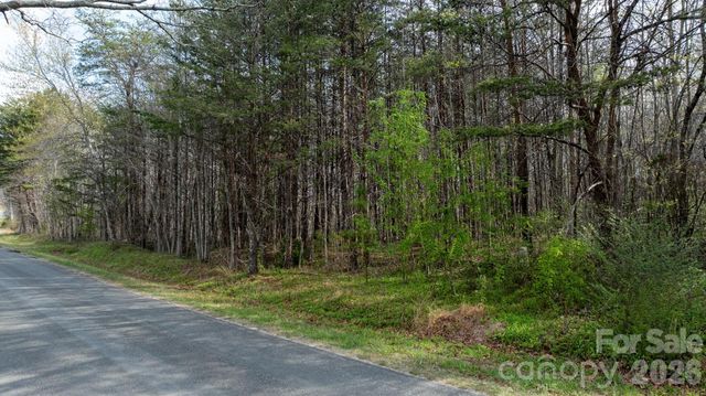 TBD Joe Branch Road, Nebo, NC 28761
