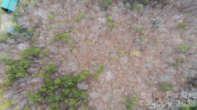 TBD Joe Branch Road, Nebo, NC 28761