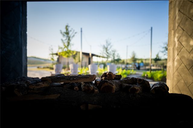 179 Summer Rain Way, Newark, TX 76071