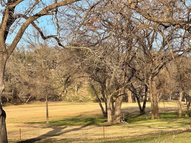 229 W Bluff Lane, Millsap, TX 76066