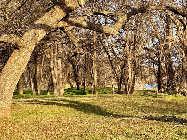 229 W Bluff Lane, Millsap, TX 76066