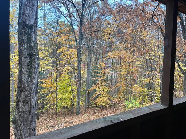 144 Fern Drive, Wellington, KY 40387