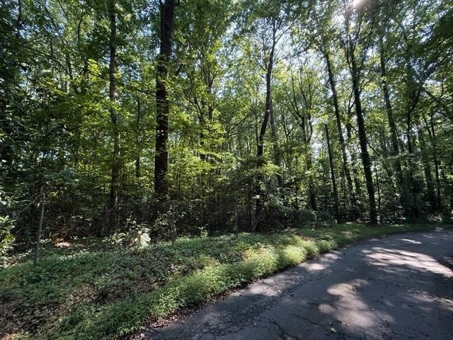 1541 Withmoor Terrace, Austell, GA 30168