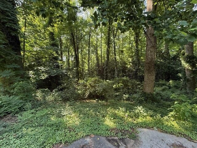1541 Withmoor Terrace, Austell, GA 30168