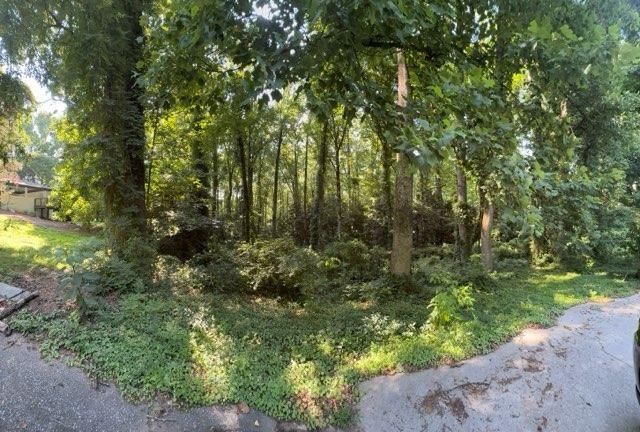 1541 Withmoor Terrace, Austell, GA 30168