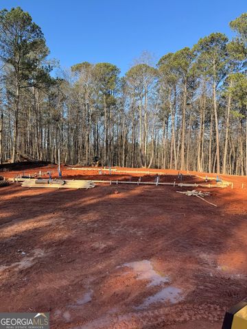 554 Palm Street, Holly Springs, GA 30115