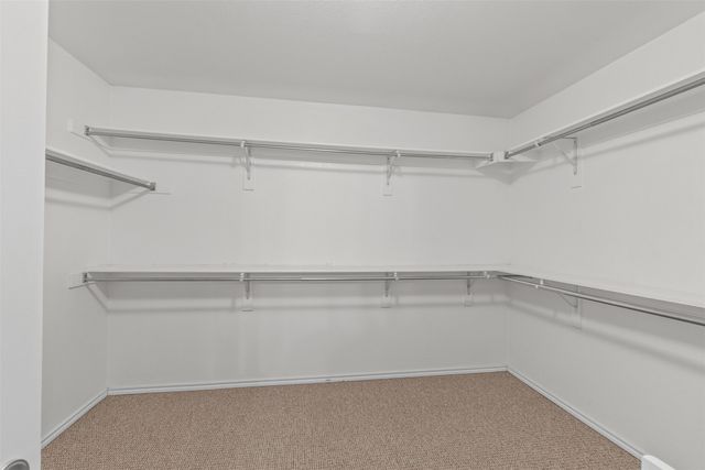 1032 Bending Oak Drive, Cedar Hill, TX 75104