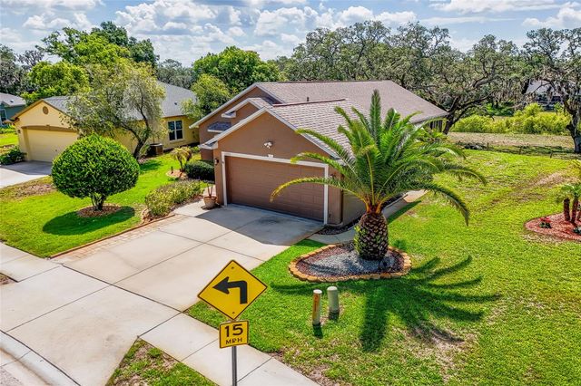 13253 GOLF RIDGE PLACE, Hudson, FL 34669