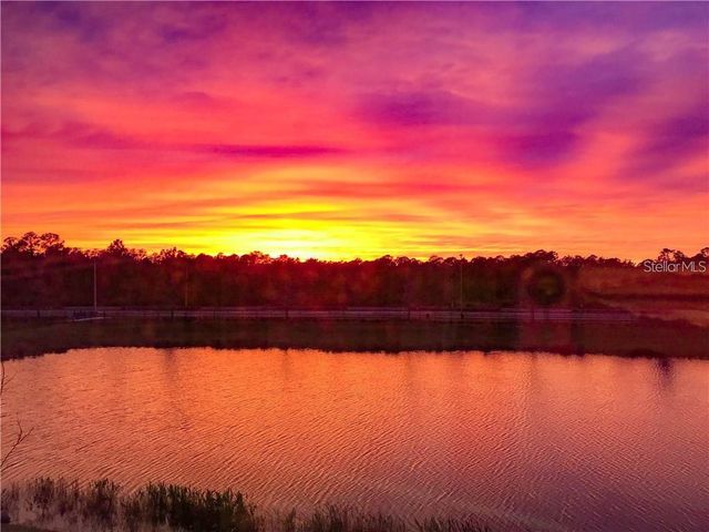 1941 MILKWEED TRACE, Lutz, FL 33558