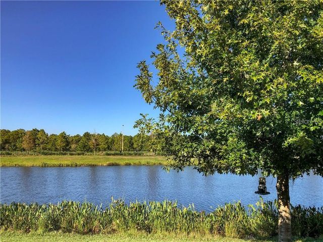 1941 MILKWEED TRACE, Lutz, FL 33558