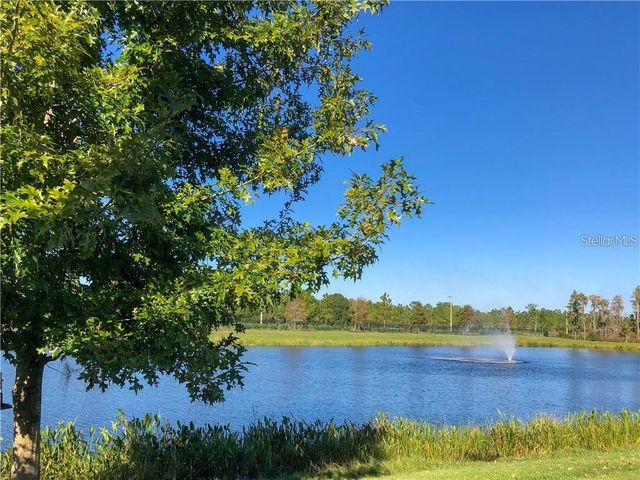 1941 MILKWEED TRACE, Lutz, FL 33558