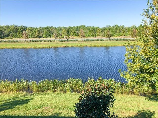 1941 MILKWEED TRACE, Lutz, FL 33558