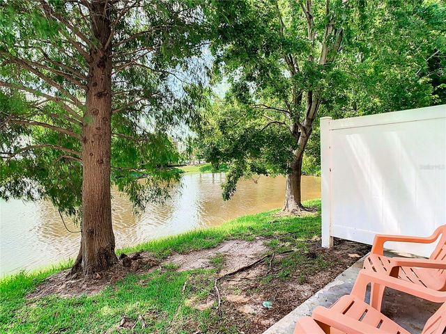 4907 WHITE SANDERLING COURT, Tampa, FL 33619