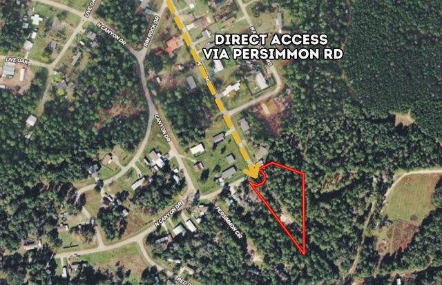 0 Persimmon Road, Onalaska, TX 77360