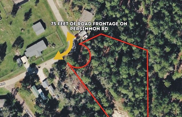 0 Persimmon Road, Onalaska, TX 77360