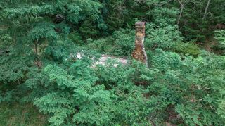 TBD Low Gap Road, West Fork, AR 72774