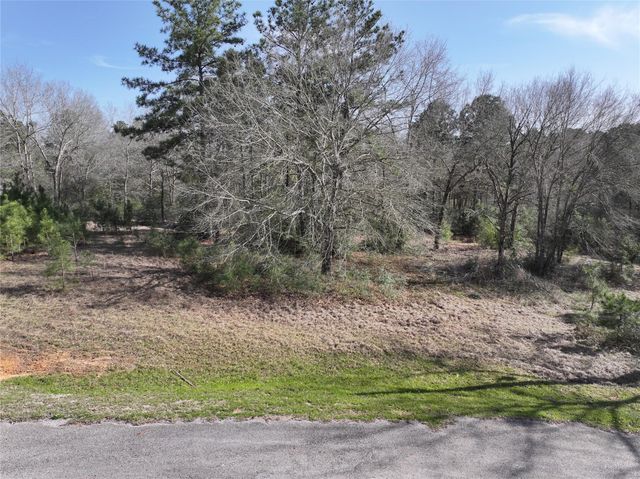 0 Steeplechase Parkway, Waller, TX 77484