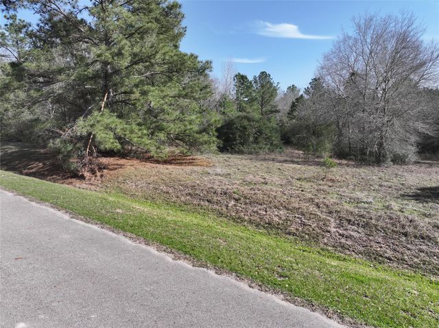 0 Steeplechase Parkway, Waller, TX 77484