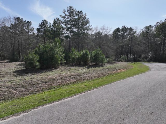 0 Steeplechase Parkway, Waller, TX 77484