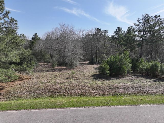 0 Steeplechase Parkway, Waller, TX 77484