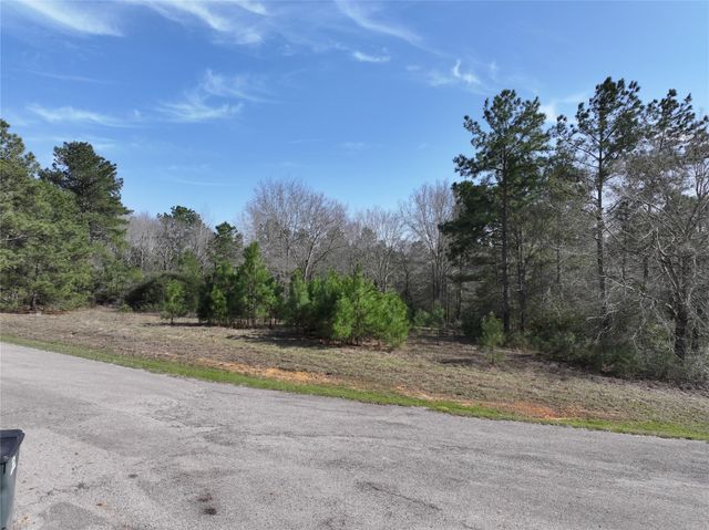 0 Steeplechase Parkway, Waller, TX 77484