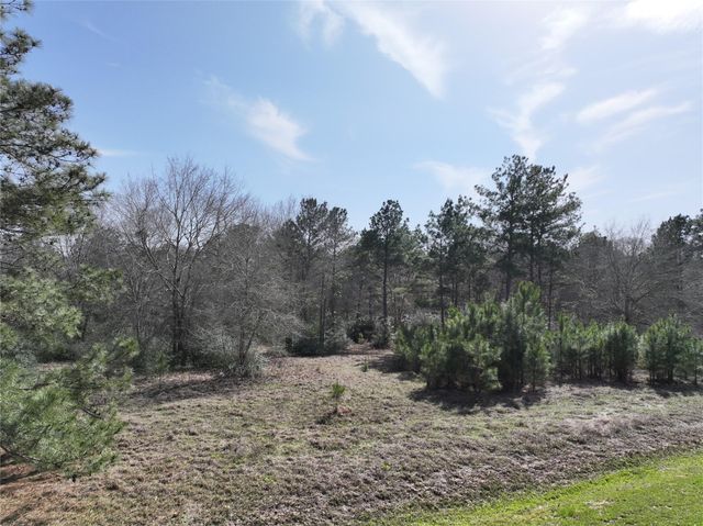 0 Steeplechase Parkway, Waller, TX 77484