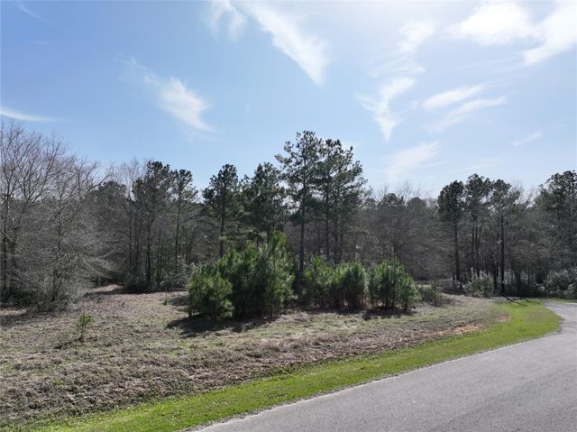 0 Steeplechase Parkway, Waller, TX 77484