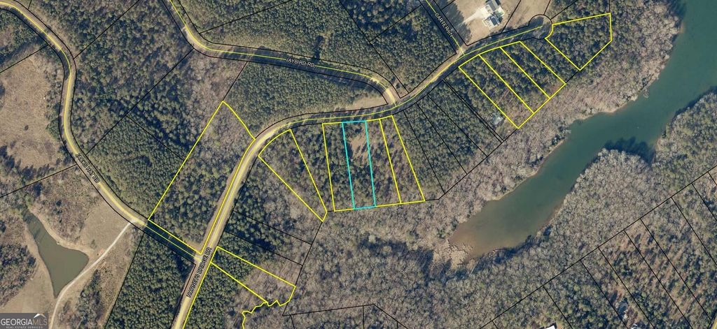 1044 Hornets Bridge Drive, Elberton, GA 30635 — photo 2