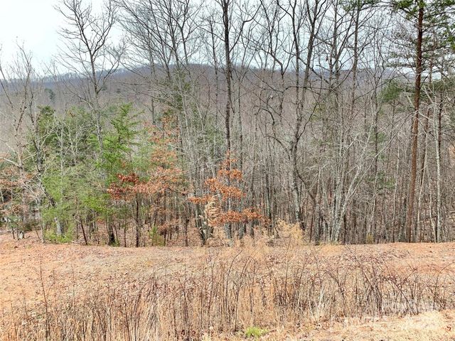 0 Sandy Creek Drive 129/131, Bostic, NC 28018