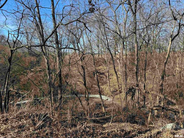 1123 S MAXWELL Road, Peoria, IL 61607