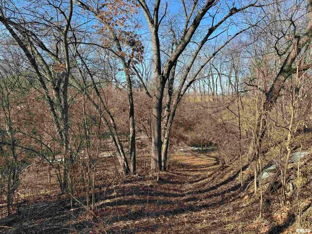 1123 S MAXWELL Road, Peoria, IL 61607