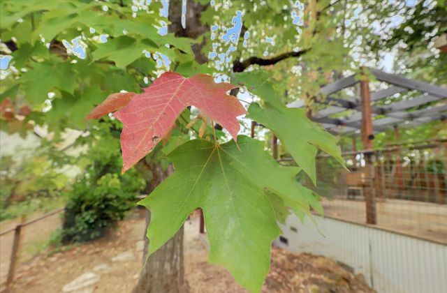 127 E Empire, Grass Valley, CA 95945