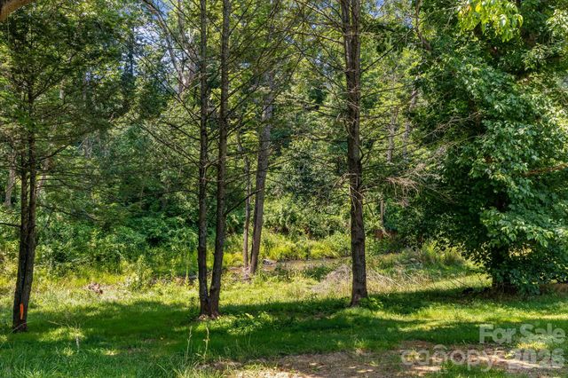 67 Banks Town Road, Weaverville, NC 28787