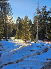 133 Sildona Trail, Florissant, CO 80816