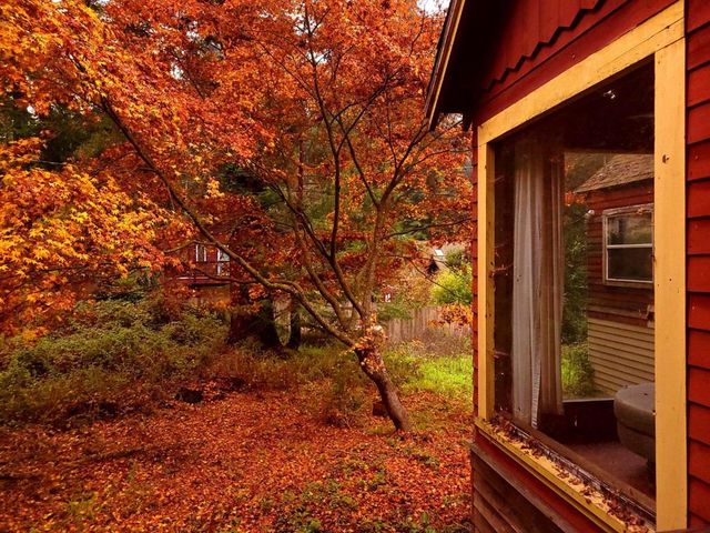 785 Cathedral, Aptos, CA 95003