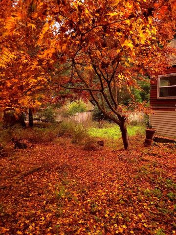 785 Cathedral, Aptos, CA 95003