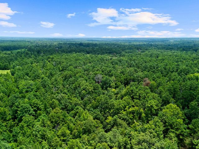 2847 CR 1764, Jefferson, TX 75657