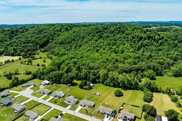490 Roaming Drive, Chuckey, TN 37641