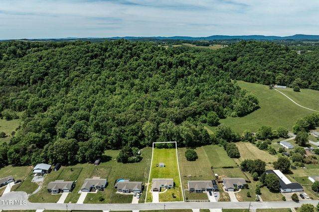 490 Roaming Drive, Chuckey, TN 37641