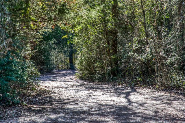 20984 Fm 1094, New Ulm, TX 78950