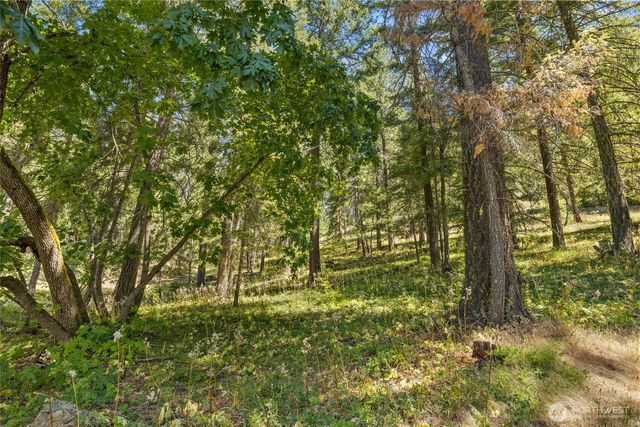 0 XXX Lava Lane, Ronald, WA 98940
