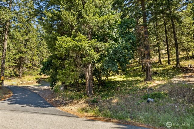 0 XXX Lava Lane, Ronald, WA 98940