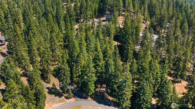 0 XXX Lava Lane, Ronald, WA 98940
