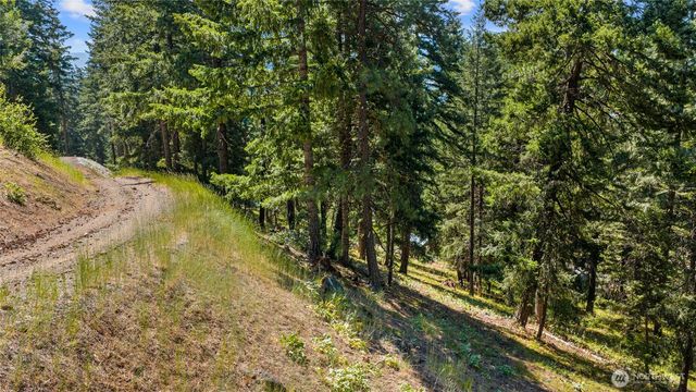 0 XXX Lava Lane, Ronald, WA 98940