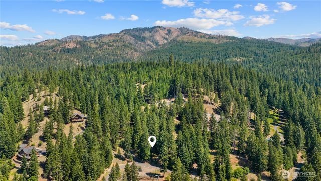 0 XXX Lava Lane, Ronald, WA 98940