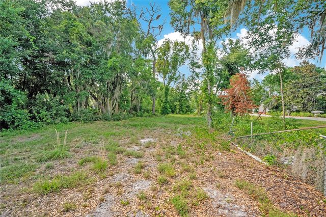 818 LAKE AGNES DRIVE, Polk City, FL 33868