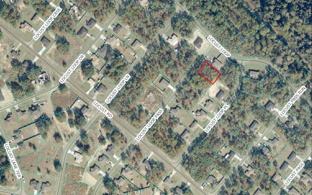 LOCUS LOOP PASS, Ocklawaha, FL 32179