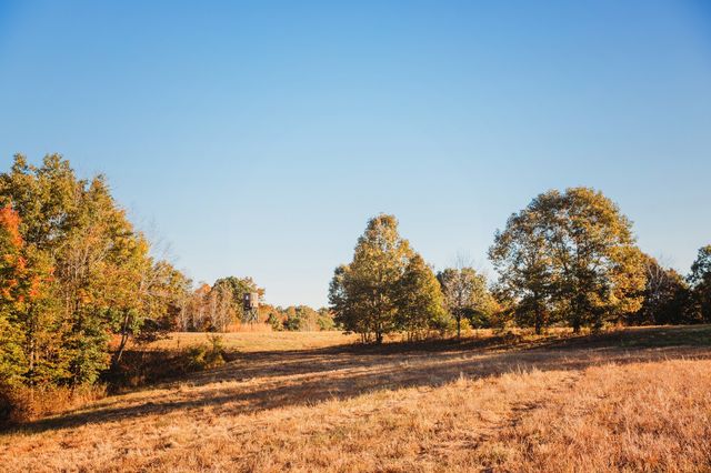 0 Scepter Rd, Waverly, TN 37185